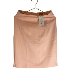 Mary Crafts pale pink NWT skirt medium